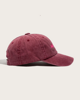 Ask Your Dad (Raspberry)
